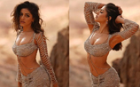 Alaya Furniturewalla looks ready to sizzle in silver in The Wallah Habibi music video